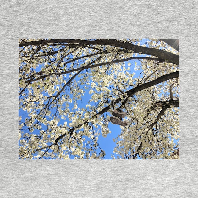 Brooklyn Blossoming Tree by hannahehansen